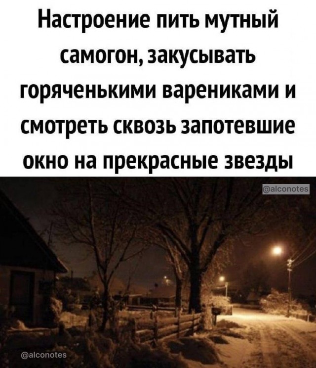 Прикольные и просто красивые картинки 15.12.2023