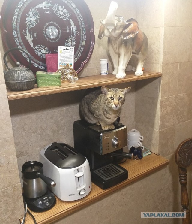 Путин рассказал про уничтожение Германией собственного автопрома