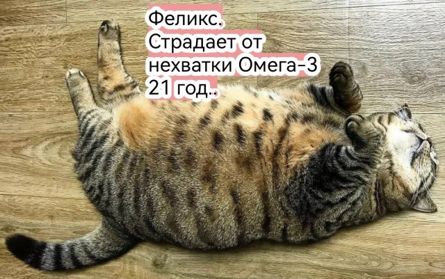Толстый Альберт