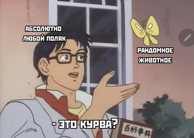 В Орске начали восстанавливать плотину