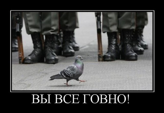12 марта в Пахачах оттепель с влажным восточным ветром