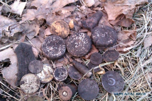 Находки в обычном парке