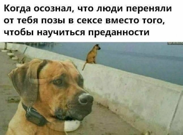 Не очень адекватный юмор