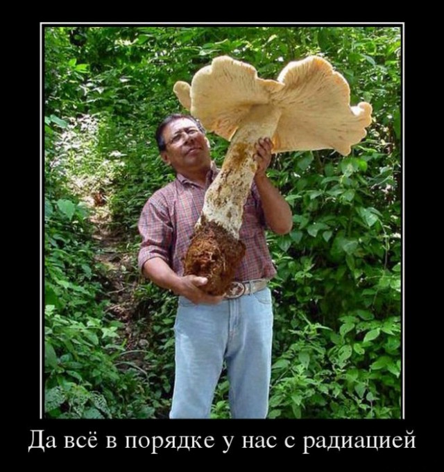 Тихий охотник