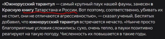 Первый раз поймал тарантула на участке, за всю жизнь их у нас не было