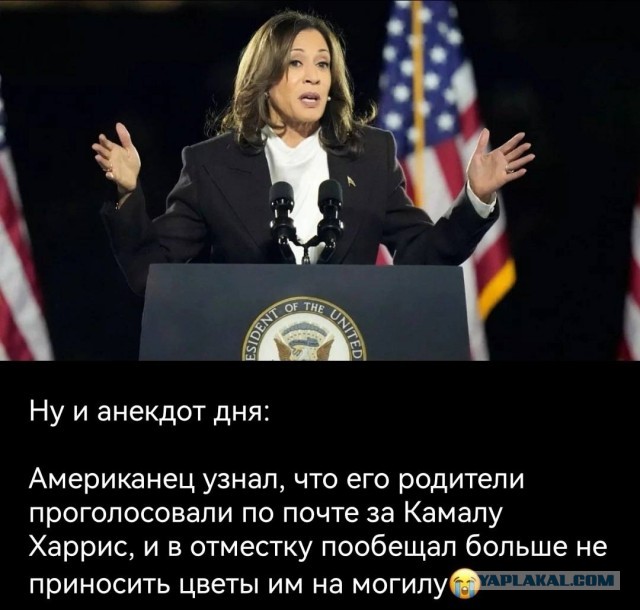 Выборы в США 2024