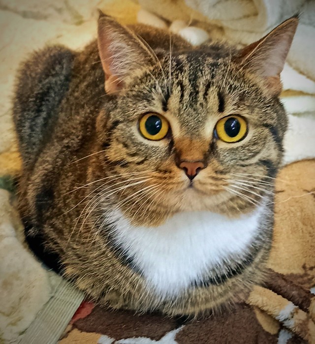 Вот скажите