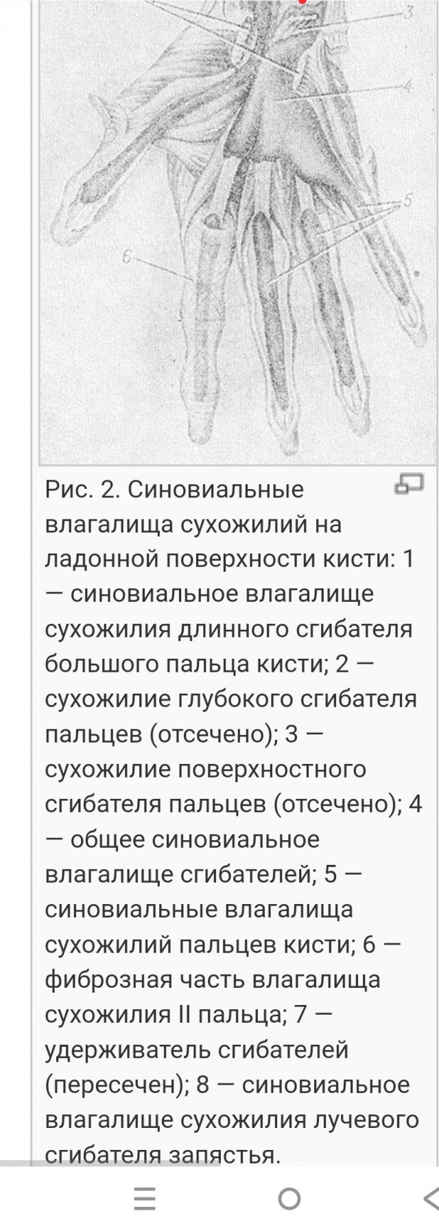 Про влагалище