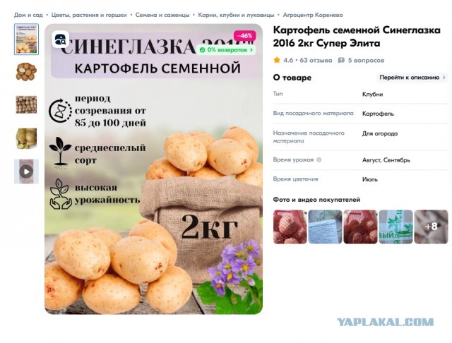 "Бывшую жену по известному адресу": как меня развели на жалость, и я повёлся