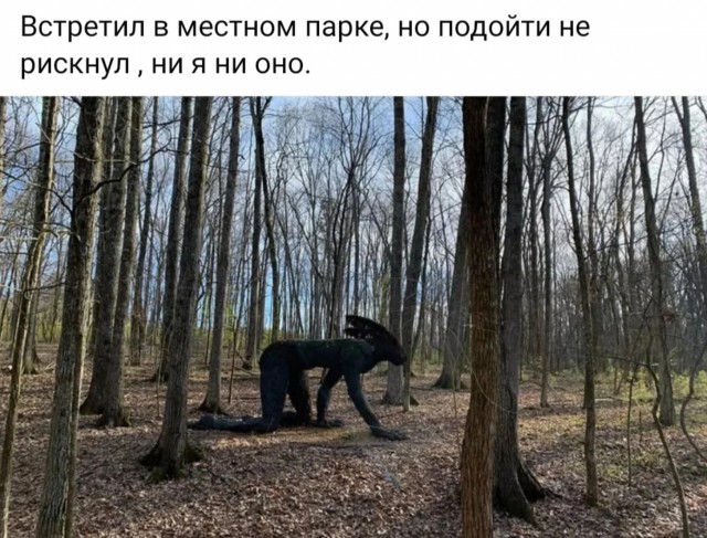 Завалялось тут случайно немного забавных картинок