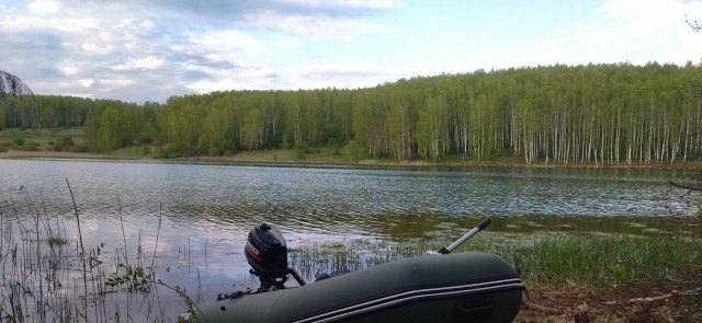 Разбавим политоту и жесть природой