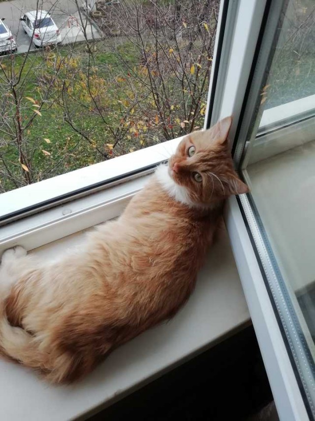 От жэж падло