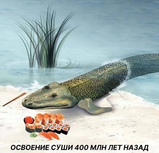 Картинки для деградации 17 (разной степени свежести)