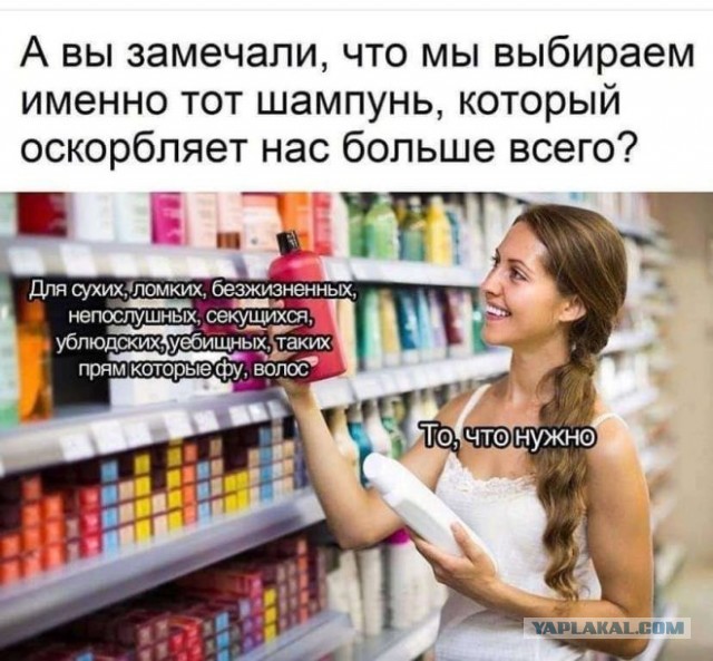 Веселые картинки в пятницу (15.08)