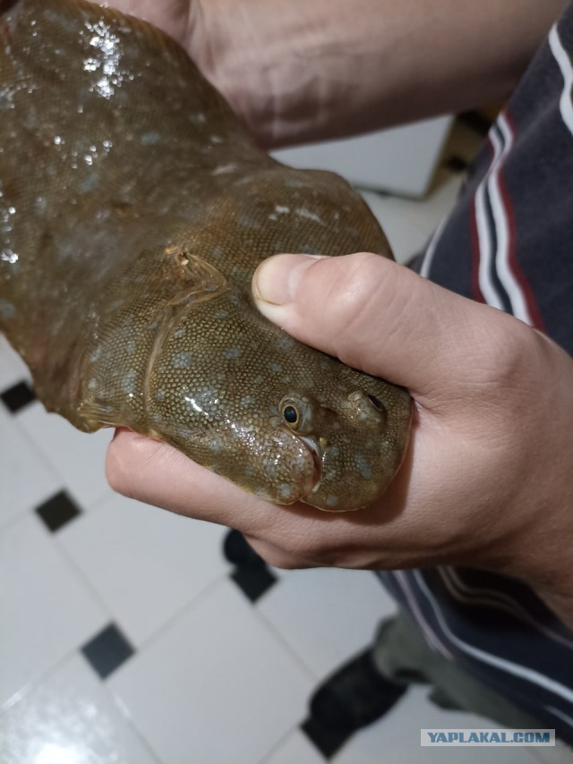 Дни рыбалки в Марокко. Часть 3