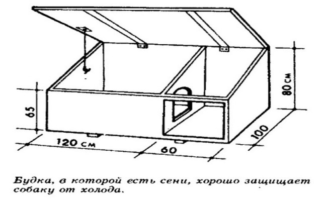 Кореша зашли в гости