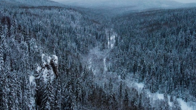 Тайга: Восемь страшных историй