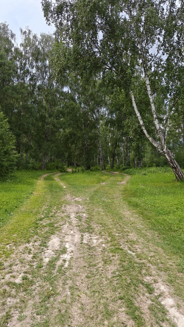 Фото сделанные по дорогам России