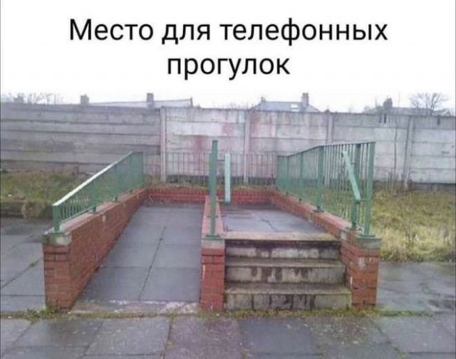 Веселые картинки в пятницу (03.07)