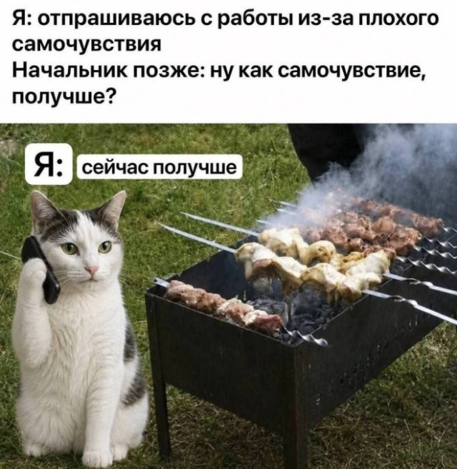 Веселые картинки в понедельник (12.10)