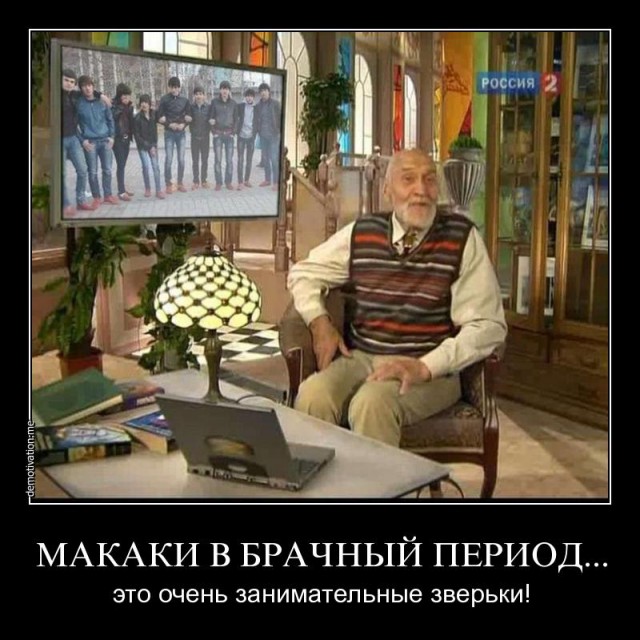 Какое-то существо на крыше храма