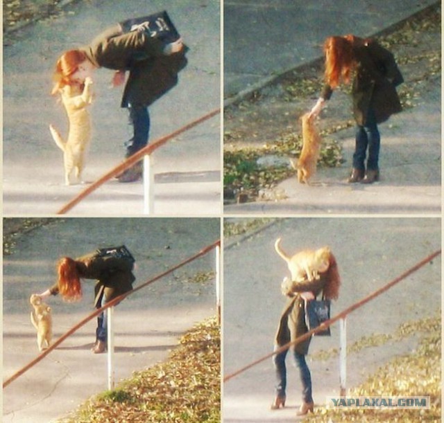 Весёлые картинки. Разбавим будни