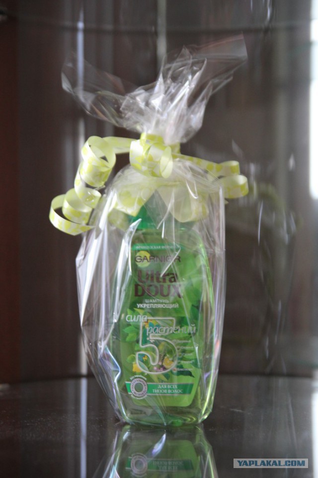 Отделался шампунем