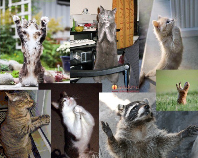 И снова смешные комментарии