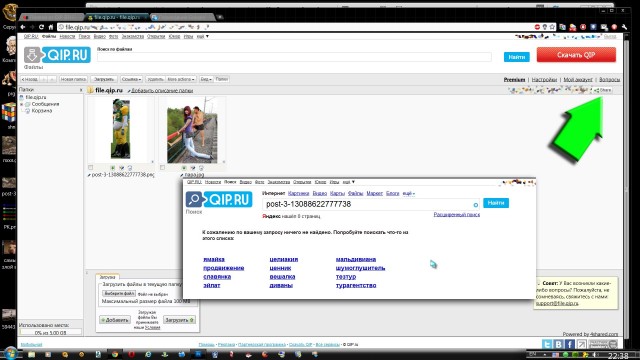 Палево от QIP 2010