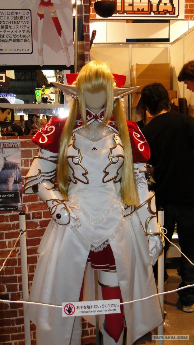 Tokyo Game Show 2010