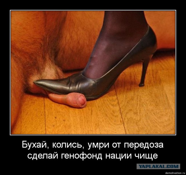 Алко-Нарко-Психо-Фармо и т.п. поборка