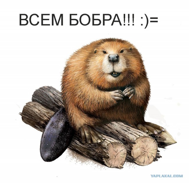 Старики плохого не посоветуют