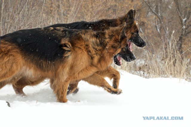 Игры настоящий пацанов