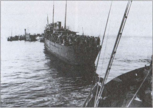 Ходячие мигранты?