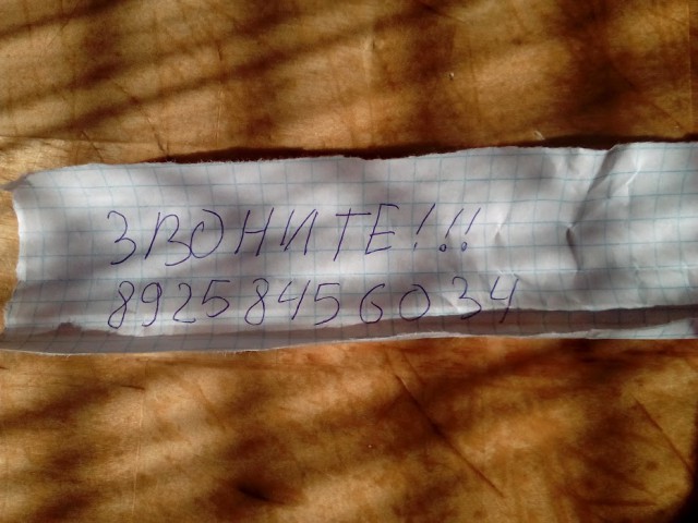 Я думал они «вымерли», но я ошибался