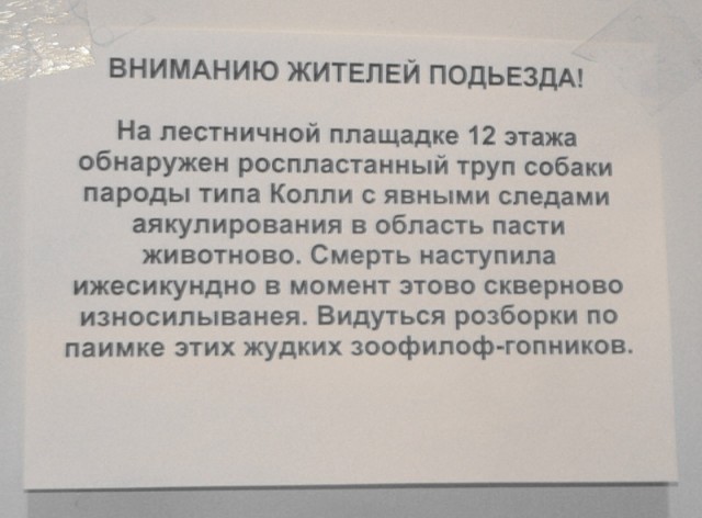 ОБЪЯВЛЕНИЯ. На стенах, в газетах, афиши.
