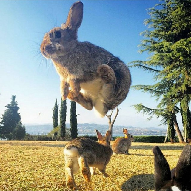 Подборка интересных и веселых фото