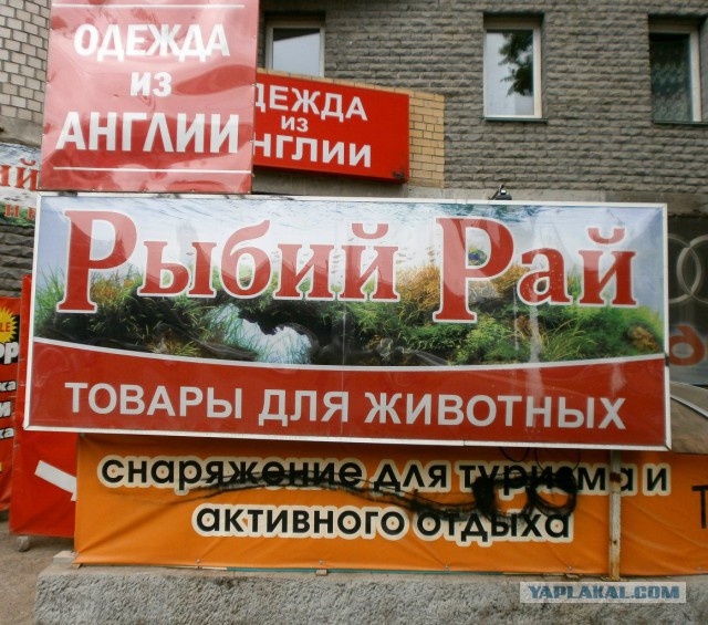 Командировка в Киров, или где живут боги маркетинга