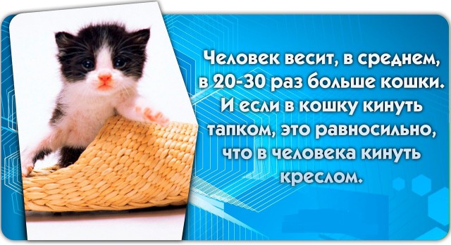 56 неожиданных фактов о большинстве которых вы не знали.
