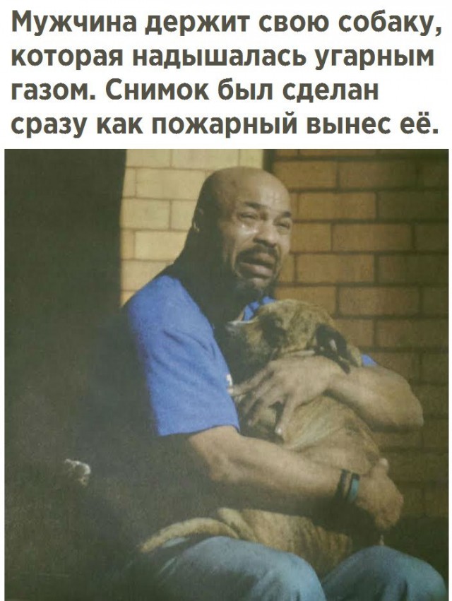 Картинок всяких