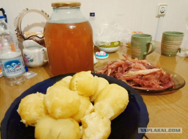 Рыбацкие приколы