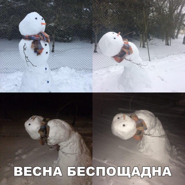 Нестандартный юмор