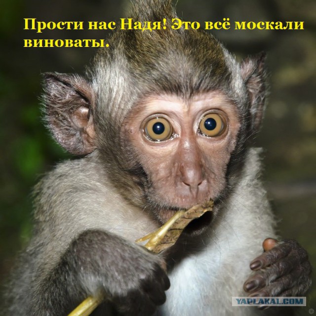 Верховная рада Украины лишила неприкосновенности депутата Надежду Савченко и ее тут же арестовали