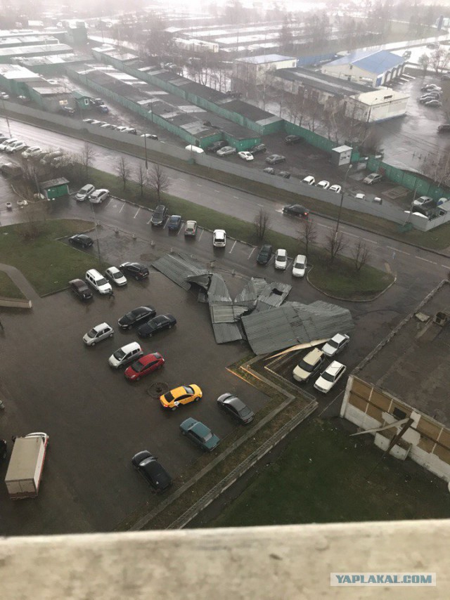 В Москве из-за шторма пострадали 12 человек