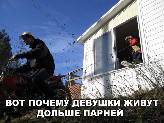 Нестандартный юмор
