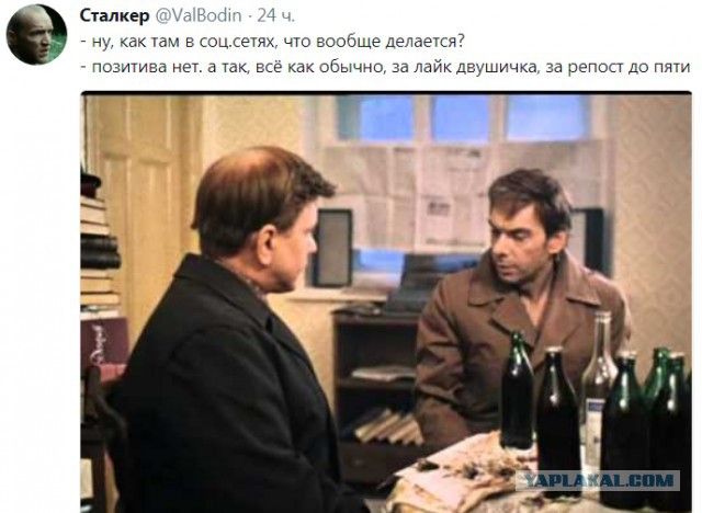 Много картинок в эту пятницу