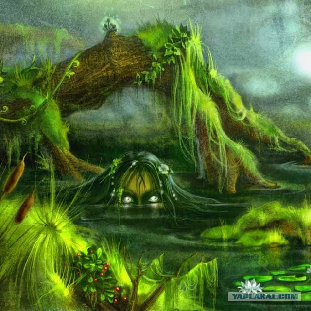 Кулинарная сказка