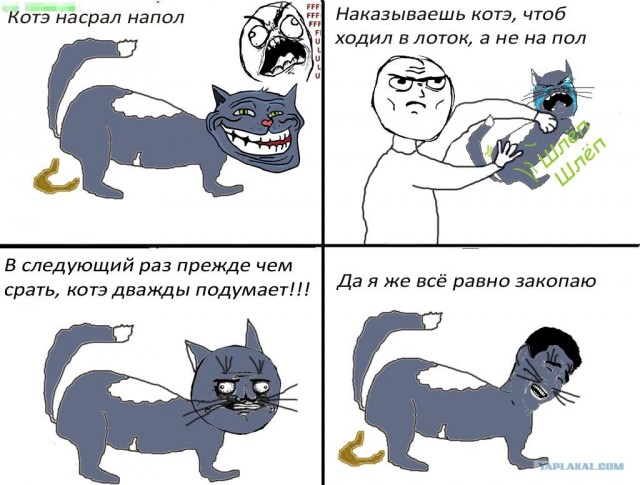 Которожа