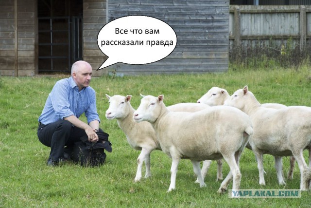 Образцы лунного грунта подделать невозможно, заявили в РАН