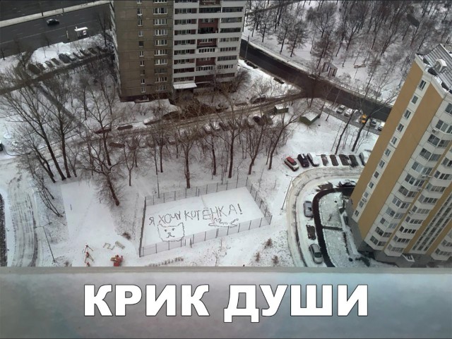 Нестандартный юмор